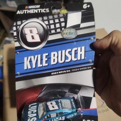 NASCAR Liquid Chase Diecast