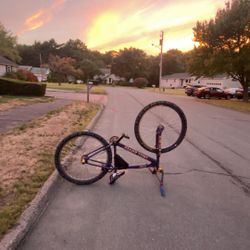 big ripper 