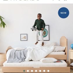 New Trundle For Under Bed (not Bed)