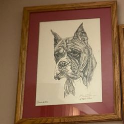 G. Marlo Allen boxer Framed Art