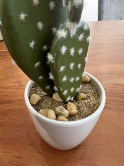 Fake Cactus Plant - Decor Thumbnail