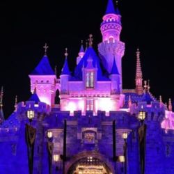 2 Disneyland Park Tickets