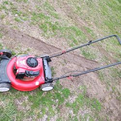 Push Mower 