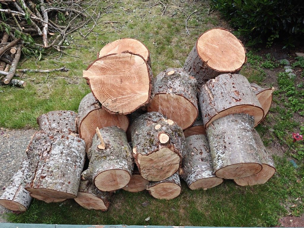 Free Firewood, Come And Haul Away.