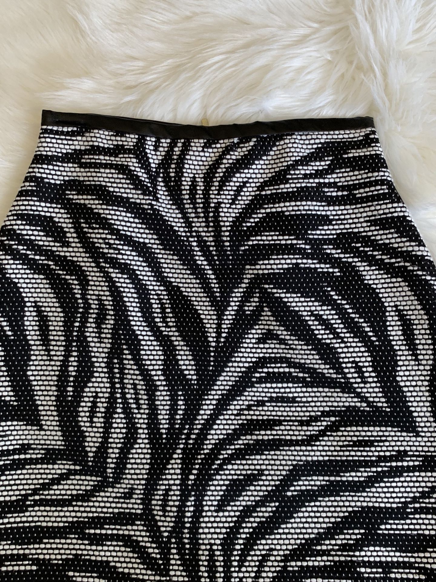 Zebra H&M Skirt