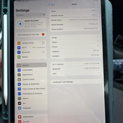 iPad Pro 2nd Gen 11inch