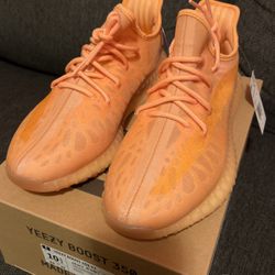 Yeezy 350 V2 - MonoClay - $230