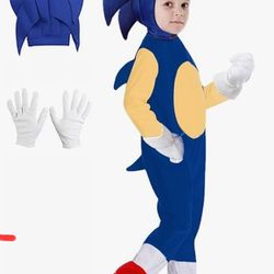 Disfraz de Sonic