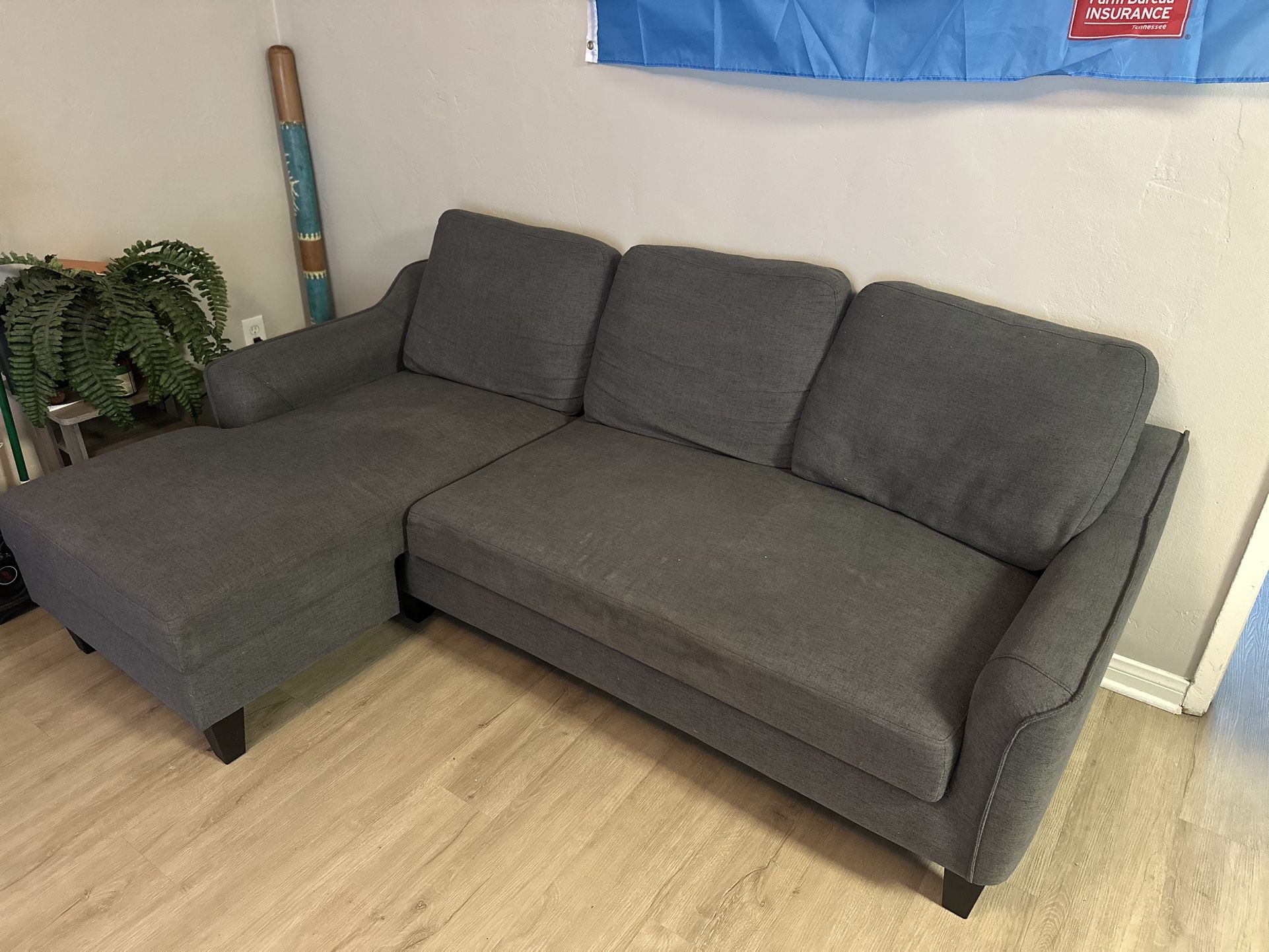 Pull Out Couch