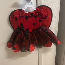 Lady Bug Costume
