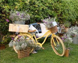 Yellow Cruiser Bike