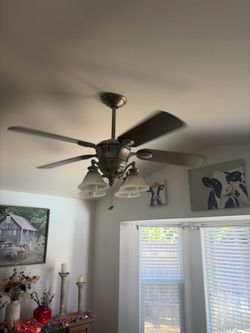 Ceiling fan with lights