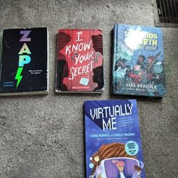 ✏️📖 ASSORTED YOUNG READER CHAPTER BOOKS 