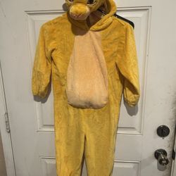 Disney Zimba from lion King costume
