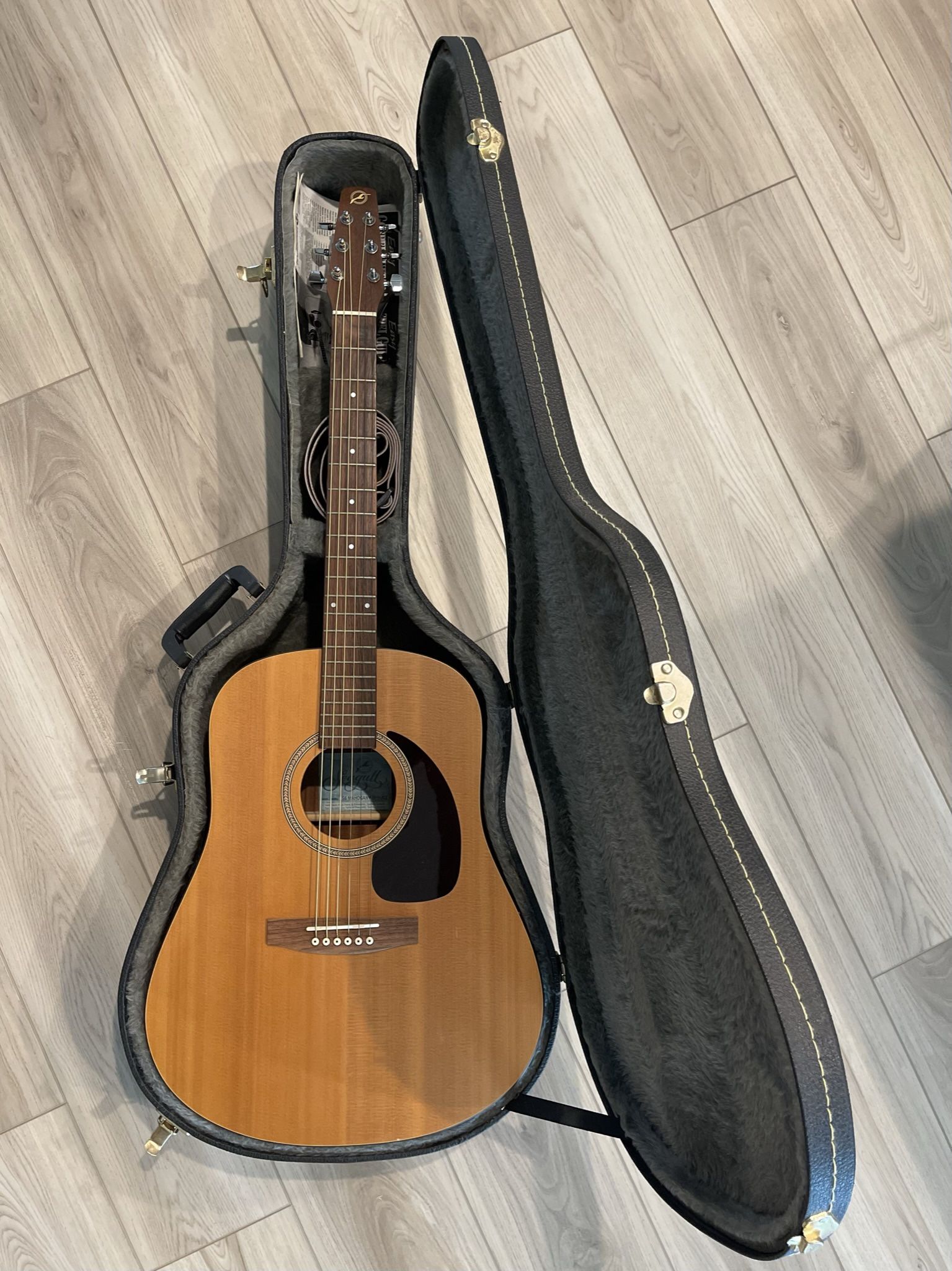 Seagull Guitar