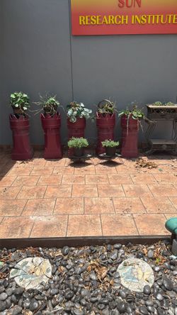 Antique Flower Pots.