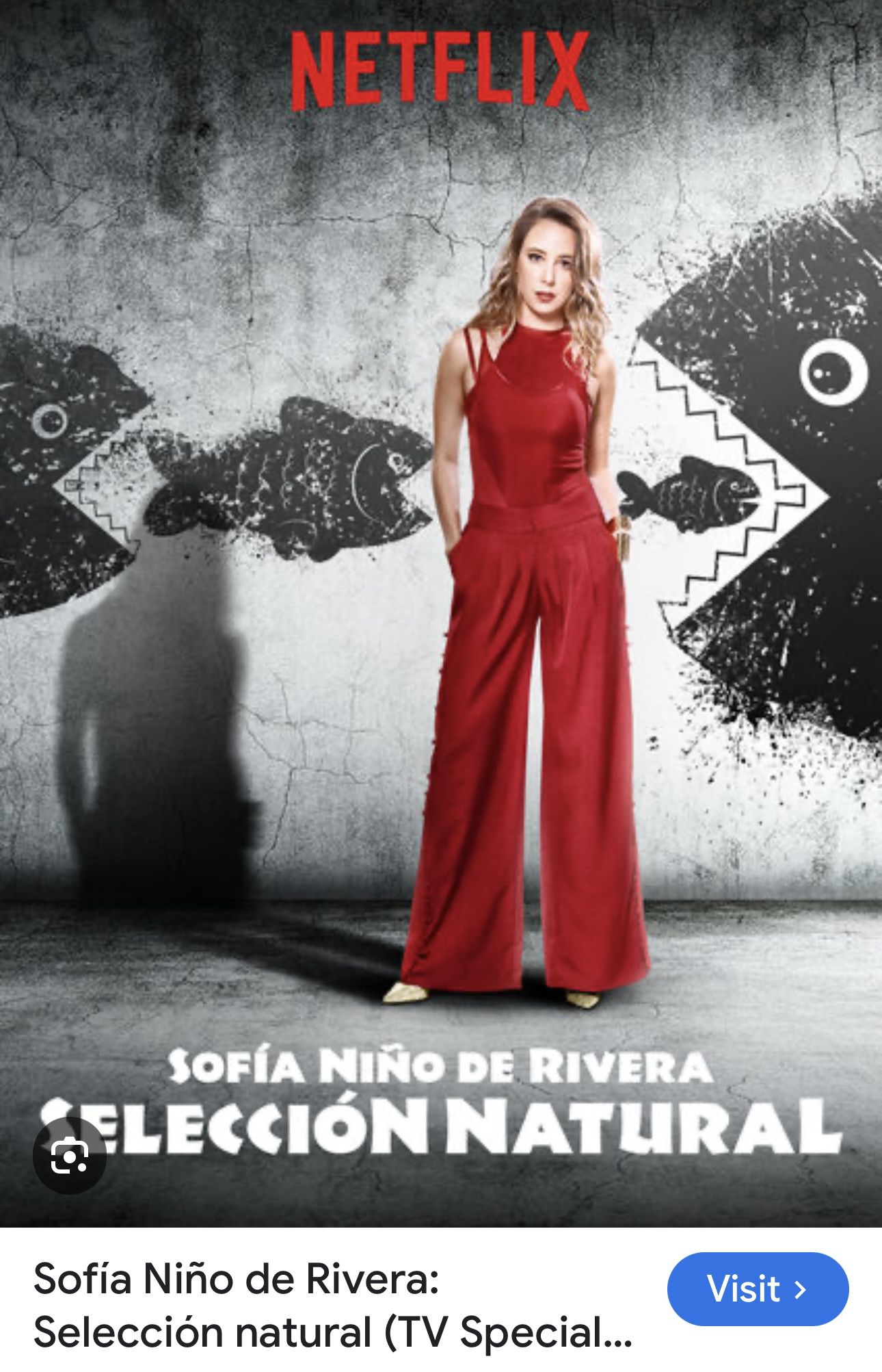 Sofia Niño De Rivera - Reduced To Sell ! 