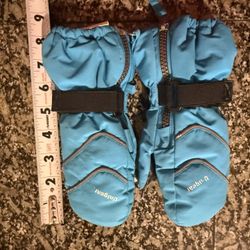 Child’s Snow Mittens 