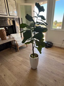 Artificial Fiddle Leaf Fig Tree in White Pot