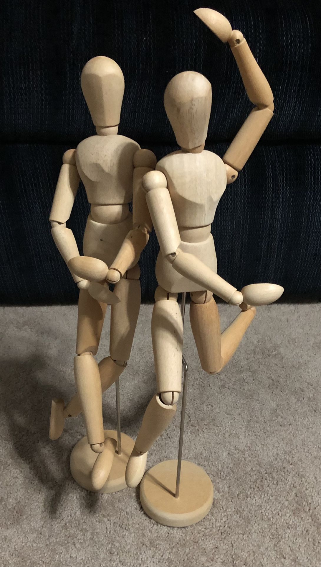2 Anatomical Male & Female Figures