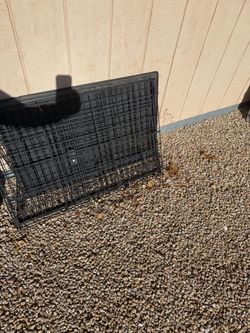 Large/Medium (2) Dog Kennels