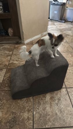 Plush soft foam dog or cat stairs 🐶🐾 🐈