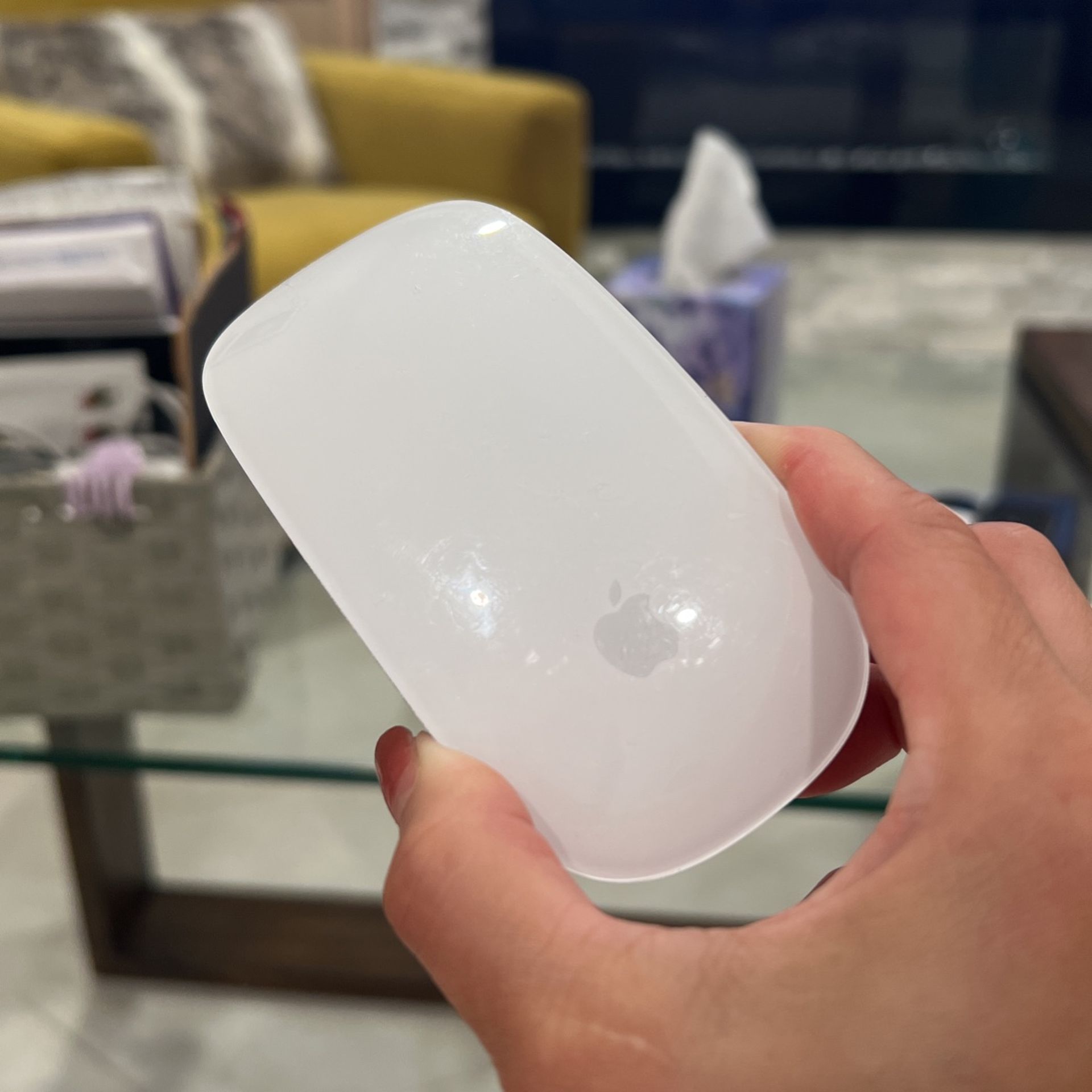 Apple Mouse
