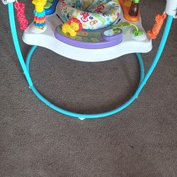Fisher Price Playhouse Bouncer