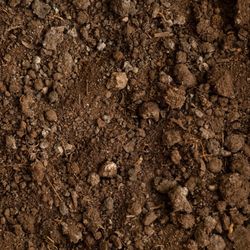 Clean Free Dirt 