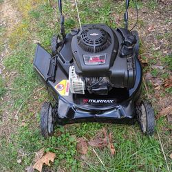 Trimmer Mower