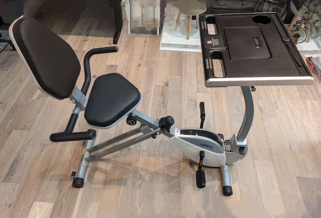 Stamina Recumbent Exercise Bike Desk
