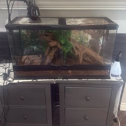 29 Gallon Tank With Accessories/lamp 