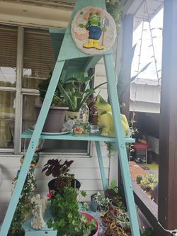 I Con Muchas Plantas Mas
