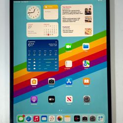 🍎 iPad Pro 10.5” 256GB WiFi + Cellular Unlocked Fully Functional iOS 17