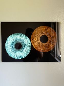 Metal eye art