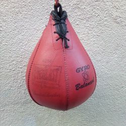 Everlast Pro Speed Bag Leather USA Made