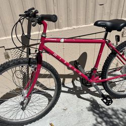 goodbike evryting work tires size 26”