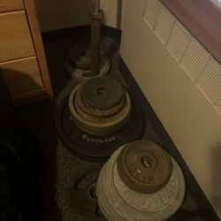 Olympic Barbell + Olympic Weights