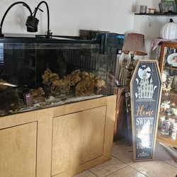 Saltwater Fish Tank