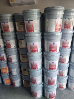 Paint and primer