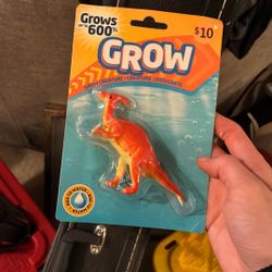 Free Grow Dino Toy