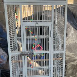 Bird Cage- 