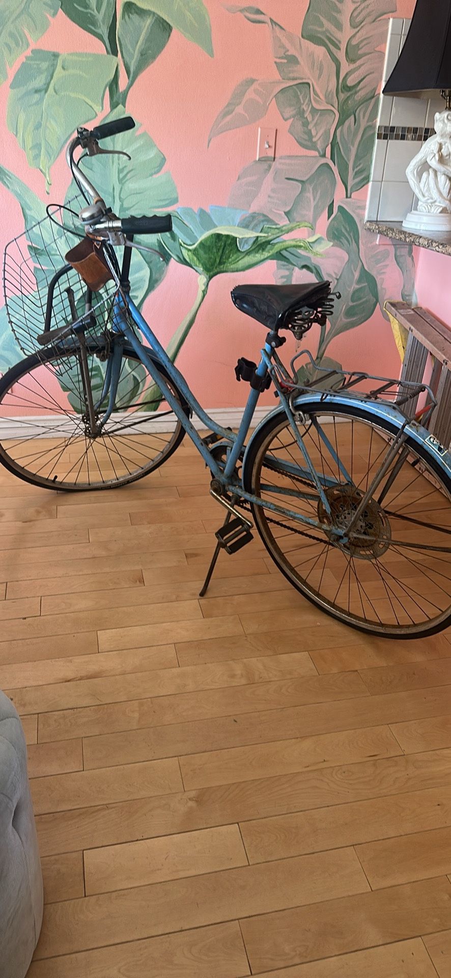 ⭐️BUNDLE Blue Vintage Schwinn Cruiser, Bike Pump - Two Skateboards