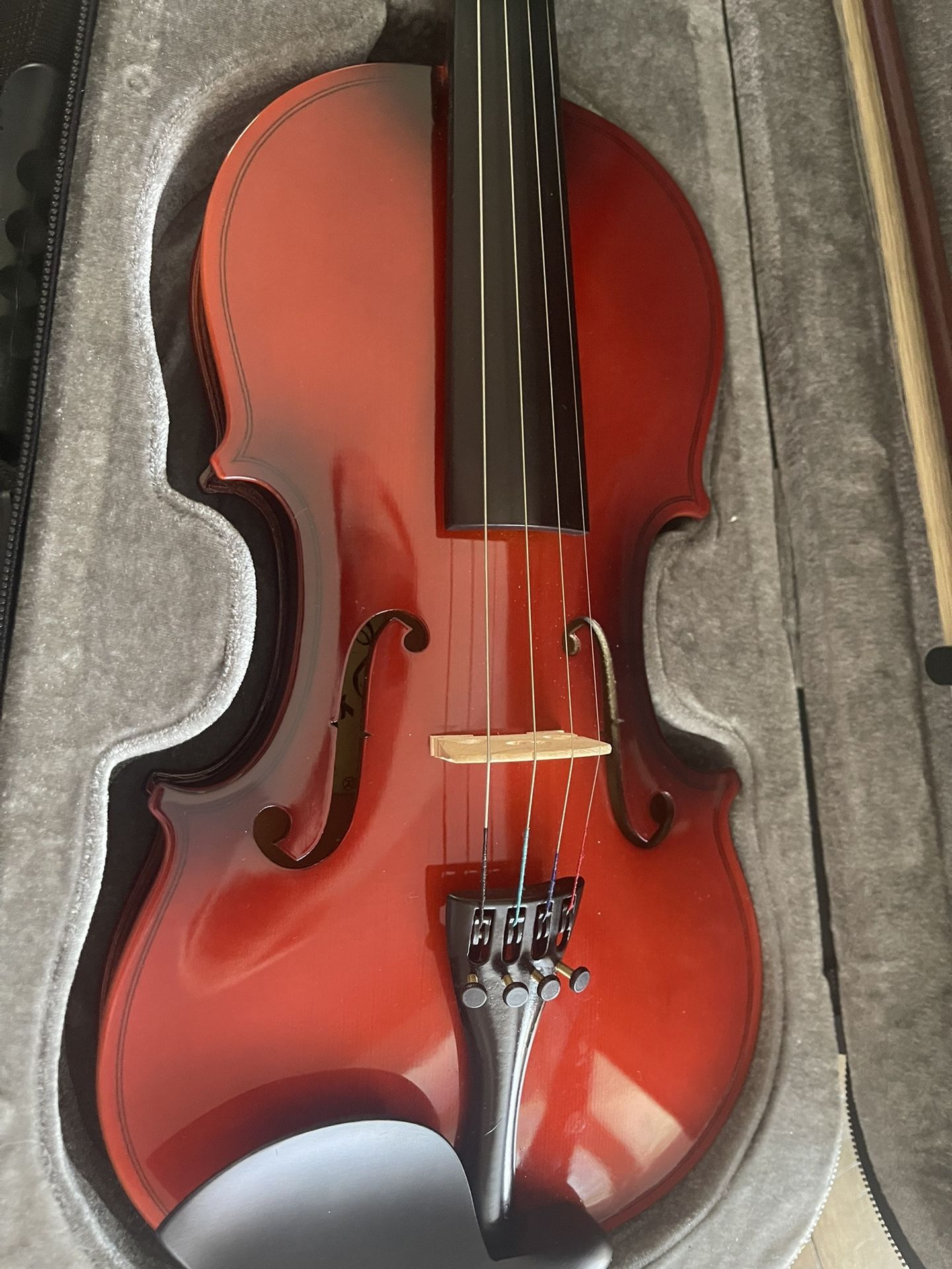 Violin