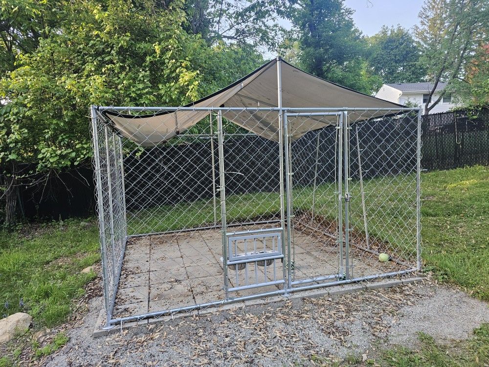 Dog Kennel 10x10 Steel
