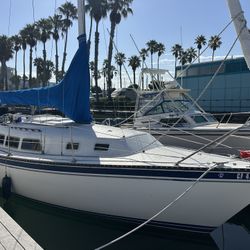 1983 Newport 33