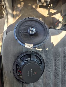 Focal