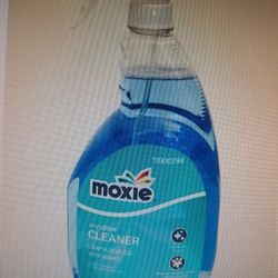 Glass Cleaner 