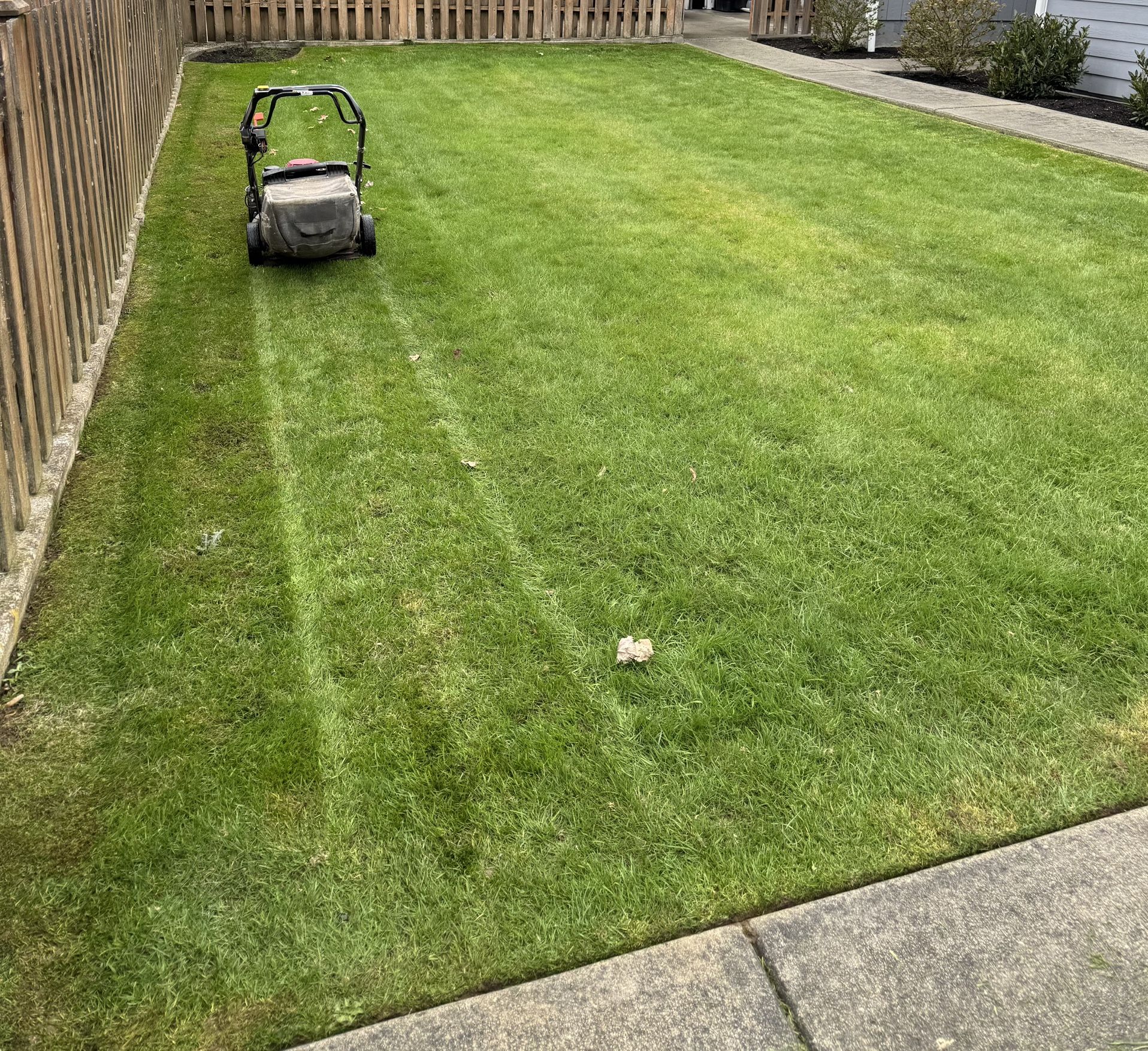 Lawn Care