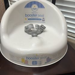 Booster Chair Seat